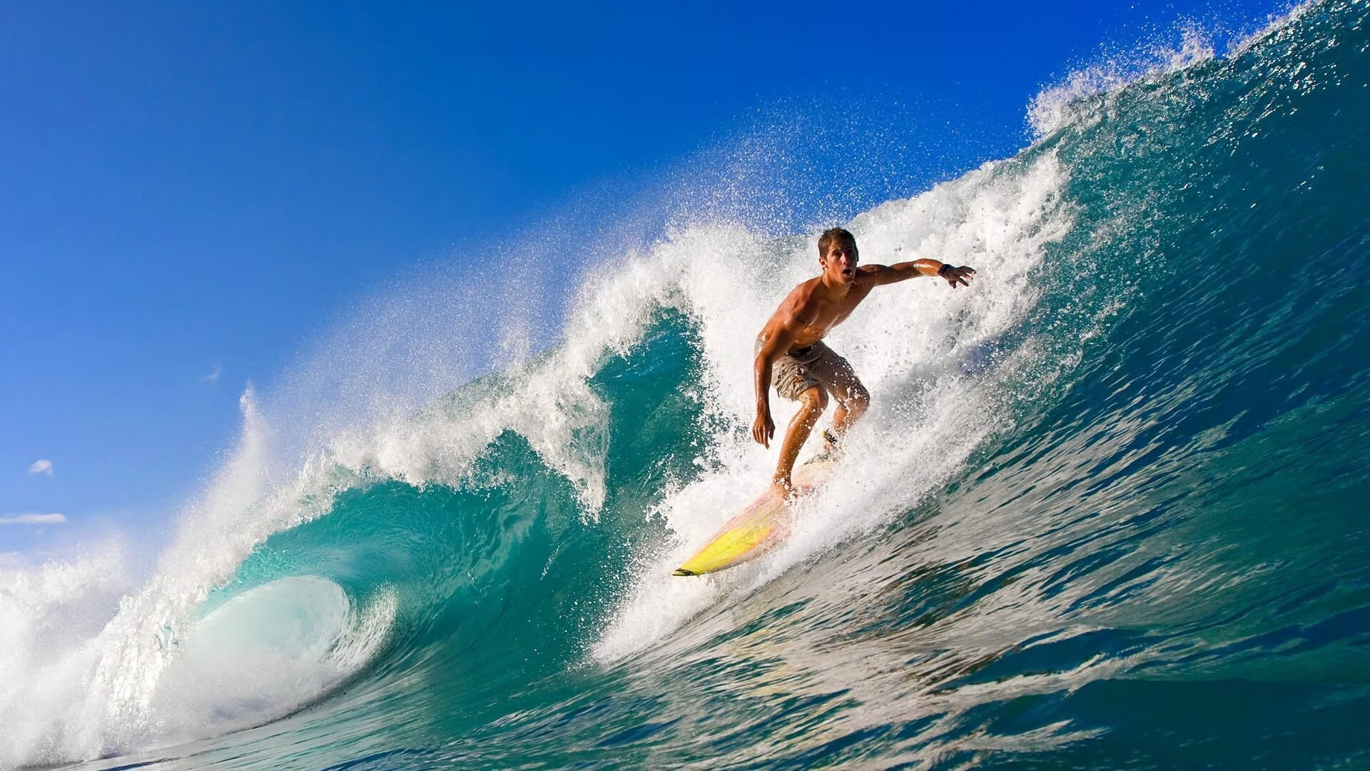 陈佳跳水风格清新利落，陈佳 mqa